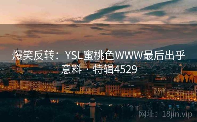 爆笑反转：YSL蜜桃色WWW最后出乎意料 · 特辑4529