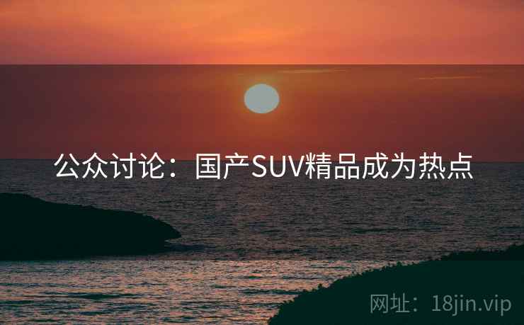 公众讨论：国产SUV精品成为热点