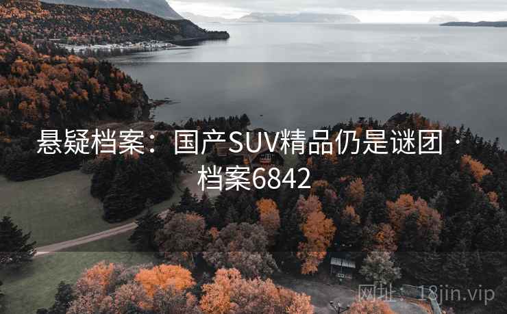 悬疑档案:国产SUV精品仍是谜团 · 档案6842 悬疑档案:国产SUV精品仍是谜团 · 档案6842